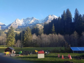 Chalet Wildbach